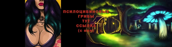 дурь Алексин