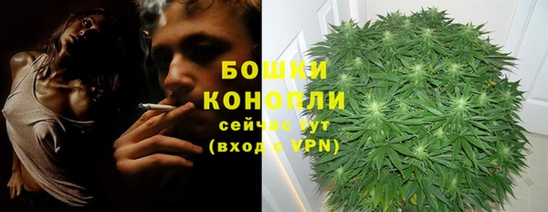 ПСИЛОЦИБИНОВЫЕ ГРИБЫ Абаза