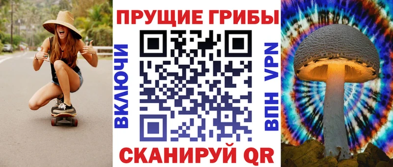 Галлюциногенные грибы мицелий  Цивильск 